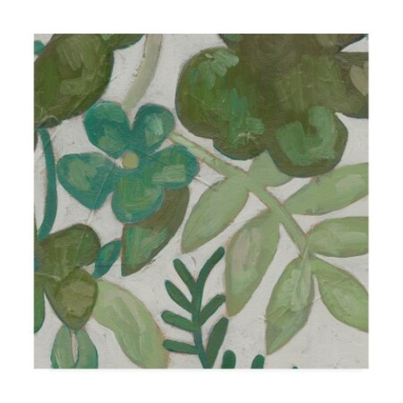 Trademark Fine Art Chariklia Zarris 'Greenery Ii' Canvas Art, 14x14 WAG13215-C1414GG